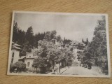 QW27 S - Carte postala - tematica turism - vedere - Sinaia 13