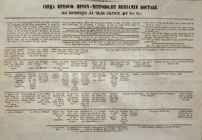 Veniamin Costachi,1842: GENEALOGIA MITROPOLITULUI CARTURAR VENIAMIN COSTACHI