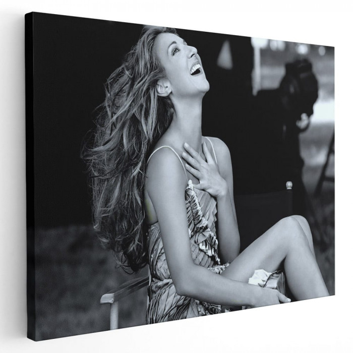 Tablou Celine Dion cantareata 2264 Tablou canvas pe panza CU RAMA 20x30 cm
