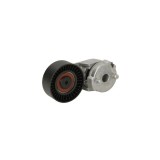 Intinzator curea JEEP WRANGLER II TJ DAYCO APV2488