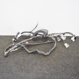Cablaj ușă dreapta spate TESLA MODEL X 2016 OEM: 1032882-80-F 4111140