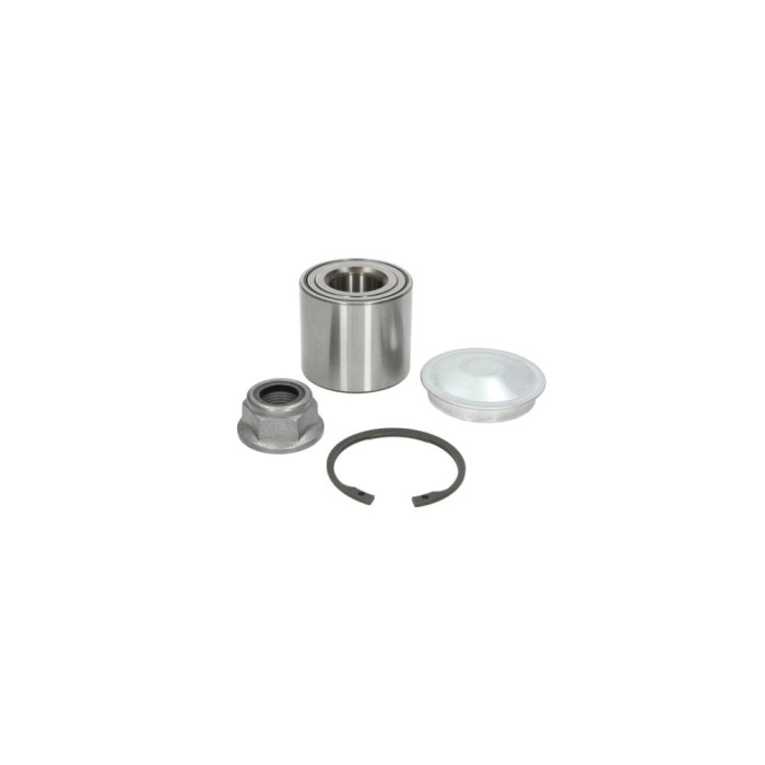 Set rulment roata RENAULT SC&iuml;&iquest;&frac12;NIC II JM0 1 FAG 713 8072 10