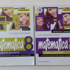 Mate 2000+ - Matematica Algebra, Geometrie Consolidare Clasa a 8-a Partea I + II