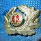4329-I-Insemn chipiu militar DDR-metal argintat si emailat.