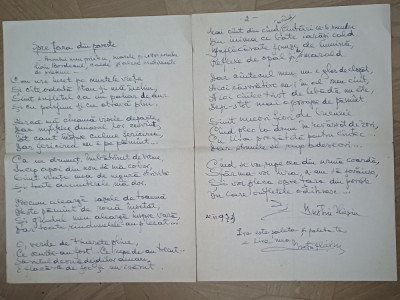 MANUSCRIS. POEZIE SEMNATA DE POETUL IUSTIN ILIESIU DEDICATA PICTOR. L.BORDEAUX foto