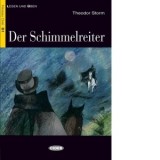 Der Schimmelreiter - Theodor Storm