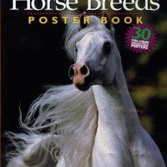 The Horse Breeds Poster Book