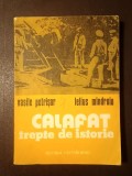 Vasile Petrișor; Lelius M&icirc;ndroiu - Calafat, trepte de istorie (1977)