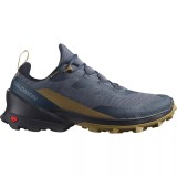Cumpara ieftin Cross Over 2 GTX, Salomon