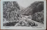 Carte postala, Petrosani, soseaua Surduc-Paiusi, 1928