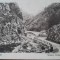 Carte postala, Petrosani, soseaua Surduc-Paiusi, 1928