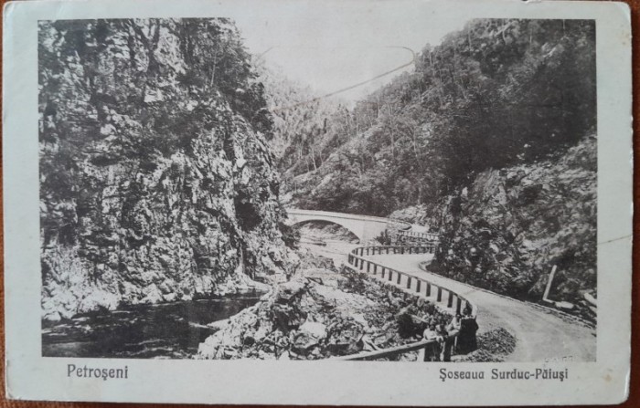 Carte postala, Petrosani, soseaua Surduc-Paiusi, 1928