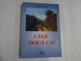 CELE DOUA CAI - PR. SIMEON CHISIU