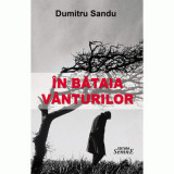 In bataia vanturilor - Dumitru Sandu