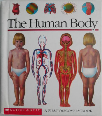 The Human Body. A First Discovery Book foto