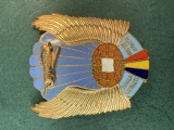 Insigna Scoala Naviganti Ofiteri Aviatie RSR