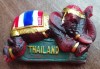 D5 - Magnet frigider - tematica turism - Thailanda 4
