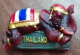 M3 C2 - Magnet frigider - tematica turism - Thailanda 4
