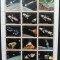YEMEN K. - Program APOLLO 1 coala a 15 v.cu inscris auriu -. NEOBLIT.- YK 066