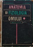 Cumpara ieftin Anatomia si Fiziologia Omului - I. C. Voiculescu, I. C. Petricu - Editura Medicala, 1971
