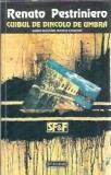 Cuibul de dincolo de umbra - Renato Pestriniero