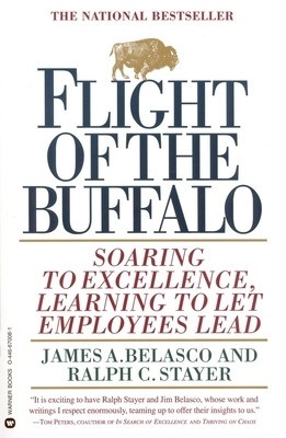 Flight of the Buffalo: Soaring to Excellence, Learning to Let Employees Lead foto