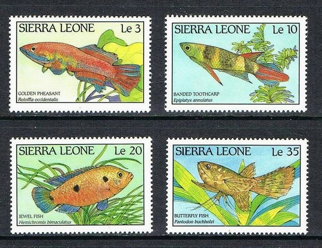 Sierra Leone 1988 Fishes MNH S.638
