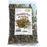 Seminte de dovleac-(bio) 200gr, EVERBIO