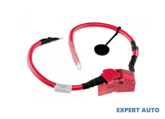Capsa baterie BMW Seria 3 (2011-&gt;) [F30, F80] #1