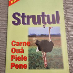 Strutul carne oua piele pene Matthew A. Cauley