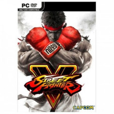 Street Fighter V PC foto