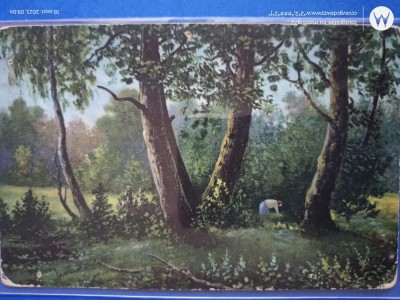 carte postala exceptionala , foto