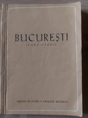 Bucuresti: Scurt istoric- Florian Georgescu foto