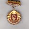 bnk ins Insigna UTC - Brigadier 1948-1983