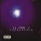 CD LL Cool J &ndash; Phenomenon (EX)