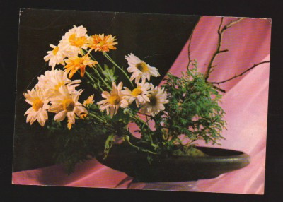CPIB 19867 CARTE POSTALA - INTREPRINDEREA DE SERE CODLEA. FLORI foto