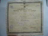 Diploma de licenta in teologie, 1952