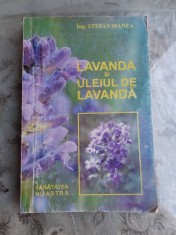 LAVANDA SI ULEIUL DE LAVANDA - STEFAN MANEA