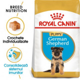 Royal Canin German Shepherd Puppy, pachet economic hrană uscată c&acirc;ini juniori, 12kg x 2