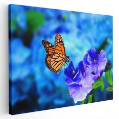 Tablou fluture monarh pe floare albastra, albastru 1582 Tablou canvas pe panza CU RAMA 20x30 cm