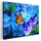 Tablou fluture monarh pe floare albastra, albastru 1582 Tablou canvas pe panza CU RAMA 80x120 cm