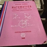 MATEMATICA. MANUAL PENTRU CLASA A IX-A - MIRCEA GANGA (TRUNCHI COMUN+CURRICULUM DIFERENTIAR