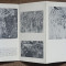 Catalog expozitie pictura Cornel Sever Mermeze si Boborelu Valeriu 1972
