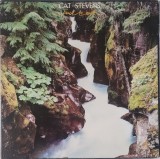 Cat Stevens &ndash; Back To Earth, LP, US, 1978, stare excelenta(VG+)