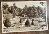 QW25 O - Carte postala - tematica turism - vedere - Oradea 51
