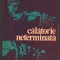 C9943 - CALATORIE NETERMINATA - YEHUDI MENUHIN