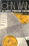 O iarna printre coline - John Wain