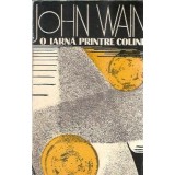 O iarna printre coline - John Wain