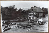 Tarani curatind copaci cu toporul, anii &#039;30// reproducere de epoca