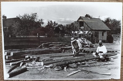 Tarani curatind copaci cu toporul, anii &amp;#039;30// reproducere de epoca foto